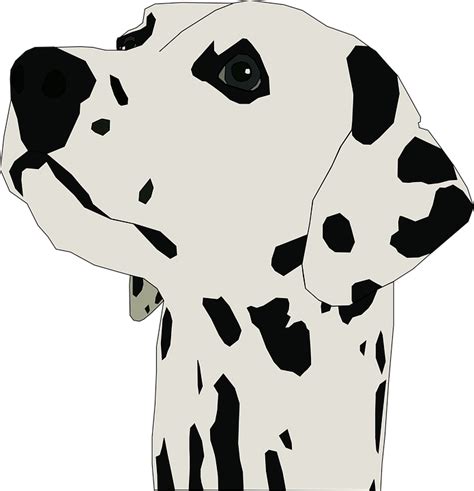 Dalmatian Dog Breed · Free Vector Graphic On Pixabay