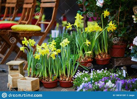 Outdoor Flower Market On A Parisian Street Stock Image Image Of
