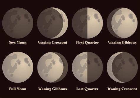 Phases Of The Moon Sheet