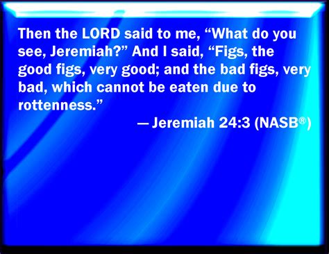 Jeremiah 243 Then Said The Lord To Me What See You Jeremiah And I