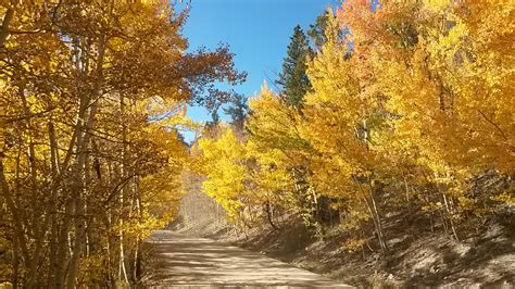 9 Best Drives To See Fall Colors In Colorado