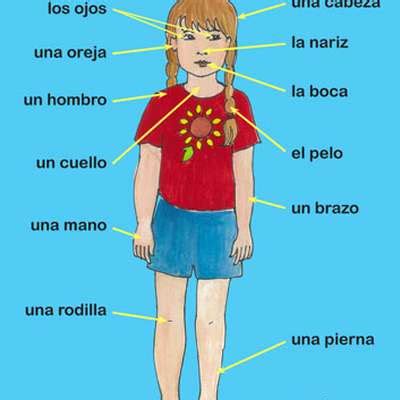 Conchita will help you learn the body parts in spanish with the more than enjoyable flash cards below, and then you can quiz yourself with the dangerously addictive. Body parts in Spanish - by gcastreje - Memrise