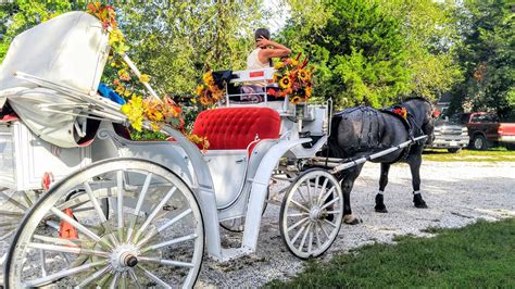 Cape May Carriage Company Historic Horse And Carriage Tours