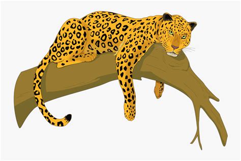 Amur Leopard Clip Art Free Transparent Clipart Clipartkey