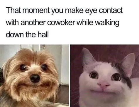 Do you need memes to get you through the day? 45 Relatable Work Memes for Days When You Just Can't - Inspirationfeed