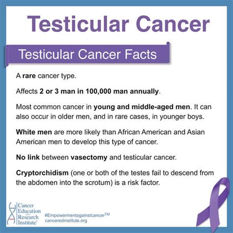 Testicular Cancer Cancer Education And Research Institute