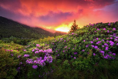 North Carolina Mountains Outdoors Landscape Appalachian Trail Spring