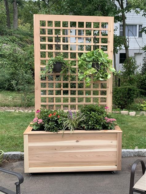 Cedar Trellis Planter I Built Gardening Garden Diy Home Flowers
