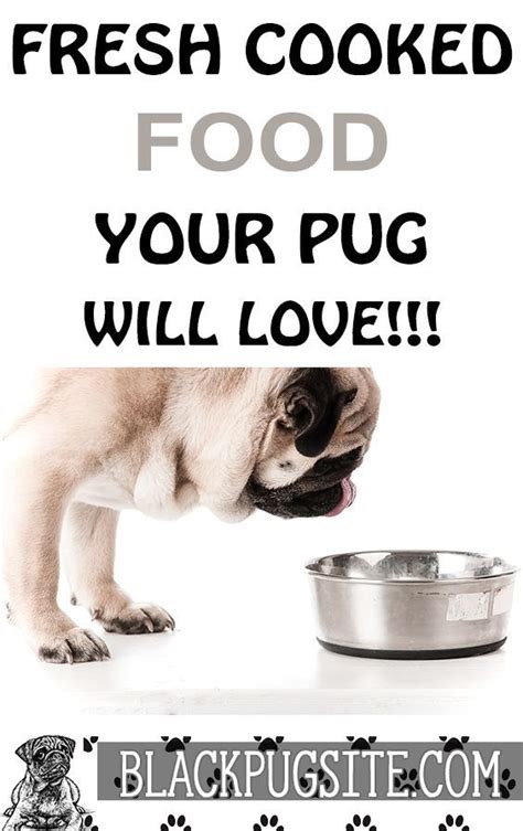 So a raw diet benefits dogs. The Best Fresh Cooked Food For Pugs And Where To Get It in ...