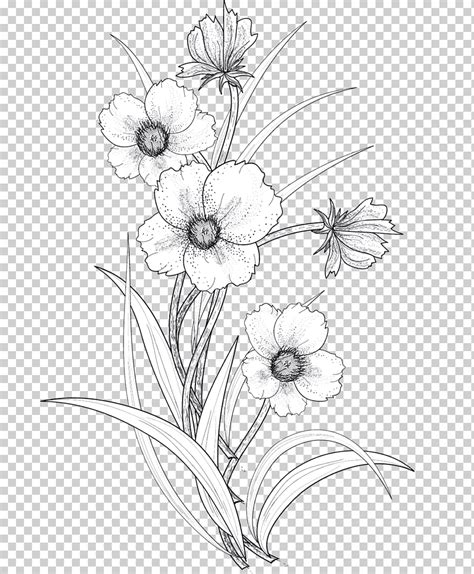 Ilustración De Flores Blancas Dibujo De Línea Arte De Línea Dibujo De