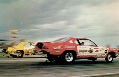 Mongoose And Snake Funny Cars Snakesd