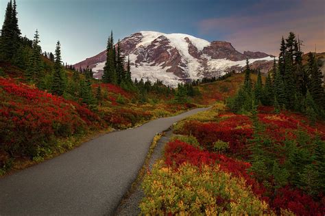 Mount Rainier Fall Colors Photograph By David Roberts Pixels