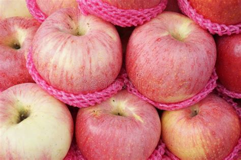 Group Of Fresh Red Apples Stock Image Image Of Lots 82574735
