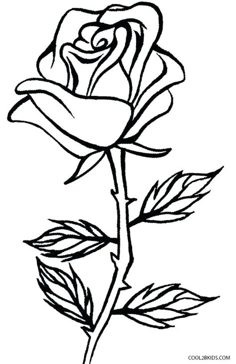 No response for realistic flowers coloring pages for adults raf61. Realistic Rose Coloring Pages at GetColorings.com | Free ...
