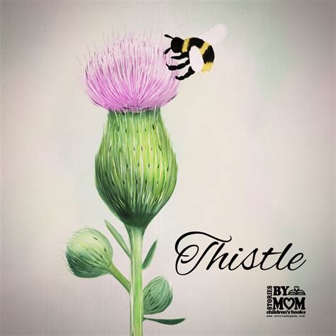 Hand drawn vector illustration on white engraving drawing style. Thistle Flower Illustration Drawing Art | Flower ...