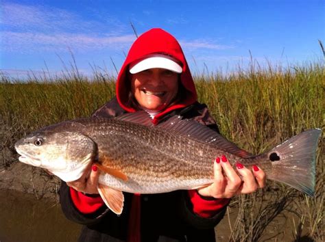 North Florida Fishing Report Jacksonville Backwater Fishing Is On Fire