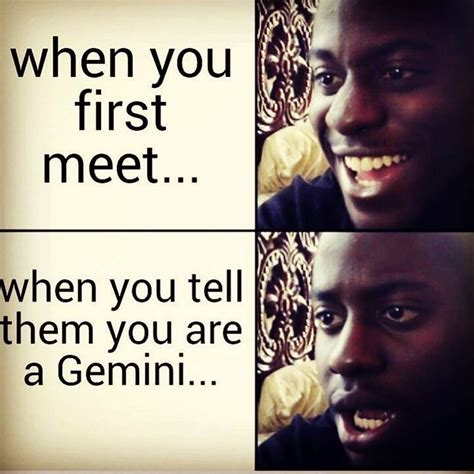 Gemini Gemini Zodiac Gemini Be Like Meme