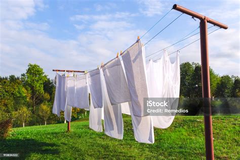 Linen Hanging On The Clothesline And Dried Stock Photo Download Image