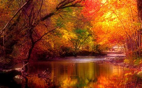 River Autumn Trees Beautiful World Lovely Beautiful Scenery Amazing