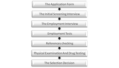 7 Steps Of The Selection Process Download Scientific Diagram