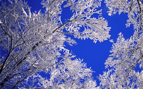 Beautiful Winter Scenes Desktop Wallpapers Wallpapersafari
