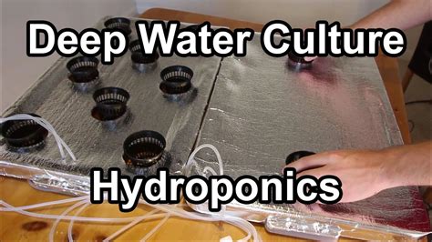 Hydroponics Diy