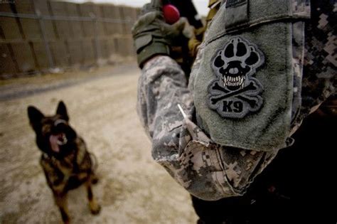 Us Army Military Working Dog Handler Military Pictures Air