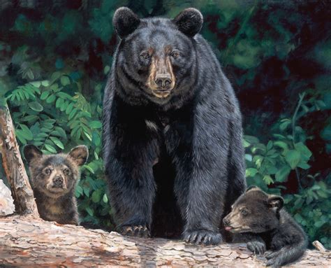 Mama And Bear Cubs 3074 36 Panel