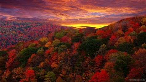 Colourful Autumn Wallpapers Wallpaper Cave