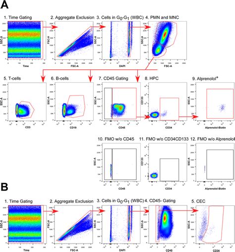 Flow Cytometry Gating Single Cells