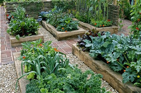 How To Build Raised Garden Beds In Easy Steps Lawnstarter