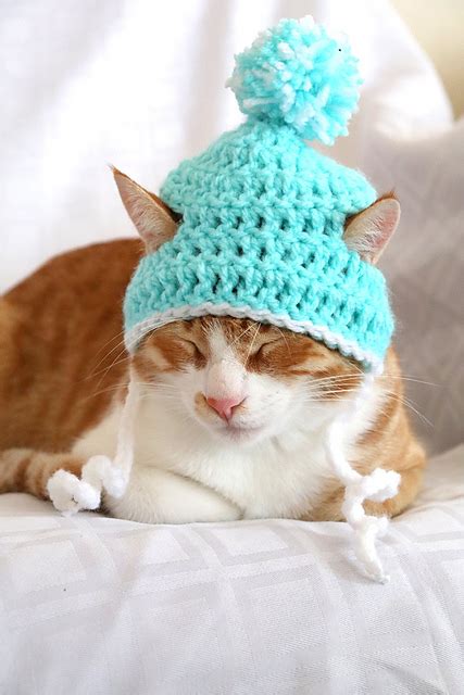 Ravelry Beanie Hat For Cats Pattern By Rebecca Davis