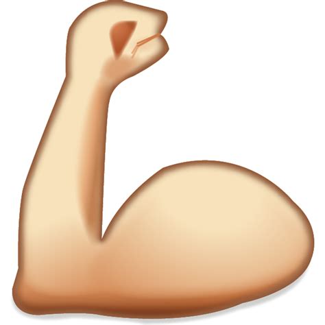 Muscle Png Transparent Image Download Size 640x640px
