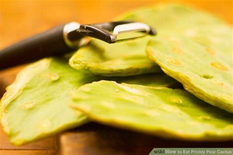 Many people are surprised to learn that some kinds of prickly pear cactus can be found as far east in this country as massachusetts. 2 Easy Ways to Eat Prickly Pear Cactus (with Pictures)