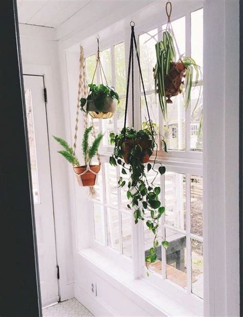 10 Beautiful Space Saving Diy Hanging Planters Ideas Hanging Plants