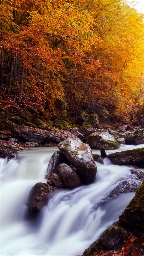 Download Wallpaper 938x1668 River Stones Trees Autumn Iphone 876s