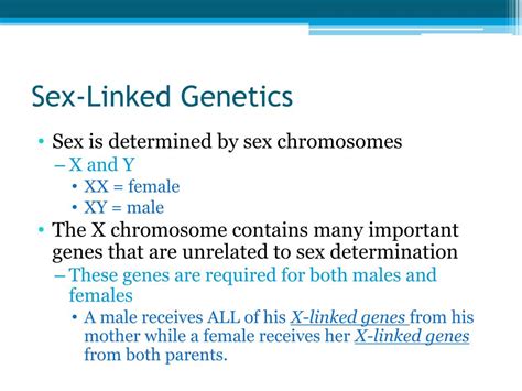 Ppt Basic Principles Of Heredity Powerpoint Presentation Free