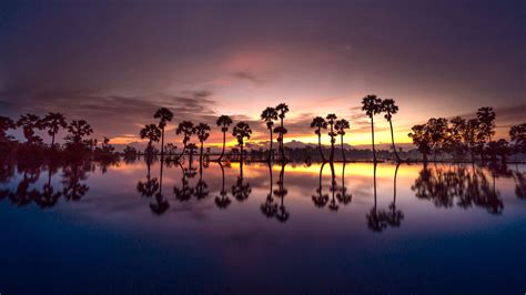 Sunset Reflecting Palms Resort In Southern Thailand Landscape Photo