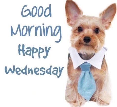 Good Morning Happy Wednesday Pictures Photos And Images For Facebook