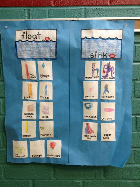 Sink Or Float Activity The Students Got To Pick Any Object In The Room