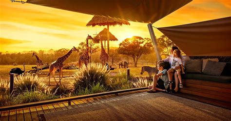 Tafe nsw dubbo specialises in agriculture, heavy and light vehicles, hairdressing and beauty therapy, construction and nursing courses, housed over two centrally located campuses. Overnight Accommodation | Taronga Western Plains Zoo Dubbo
