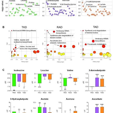 Global Profiling Analysis Of Serum Metabolites Metabolomic Profiles Of