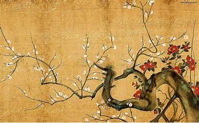 Chinese Medicine Wallpapers Traditional Effectiveness South Calgary