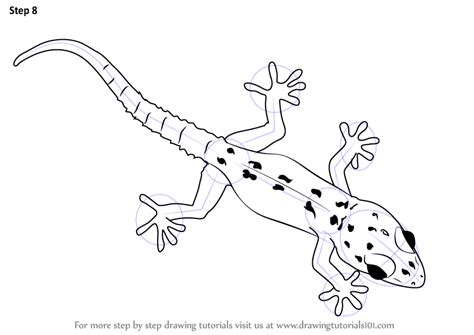 Found 12 free lizards drawing tutorials which can be drawn using pencil, market, photoshop, illustrator just follow step by step directions. Learn How to Draw a Gecko (Lizards) Step by Step : Drawing ...