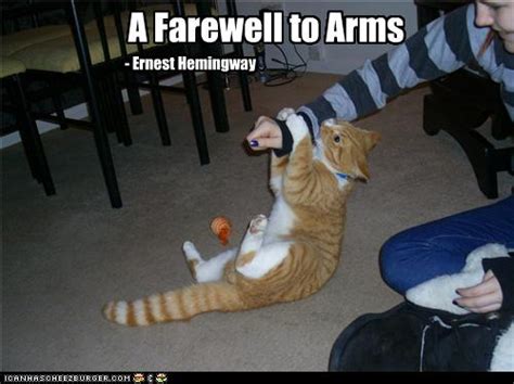 Trending images, videos and gifs related to farewell! I Can Has Cheezburger?