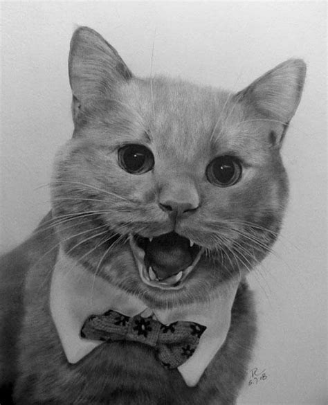 Colección de joseph • última actualización: Pintura Moderna y Fotografía Artística : Dibujos de Gatos ...