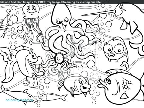 Sea Creatures Coloring Pages At Free