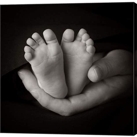 Baby Feet In Hand I By Tanya Hovey Canvas Art Baby Feet Photos Baby