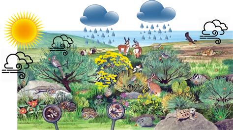 Community Ecology Rangeland Ecosystems Of The Western Us