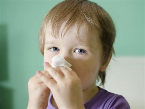 Allergies And Asthma In Toddlers Babycenter